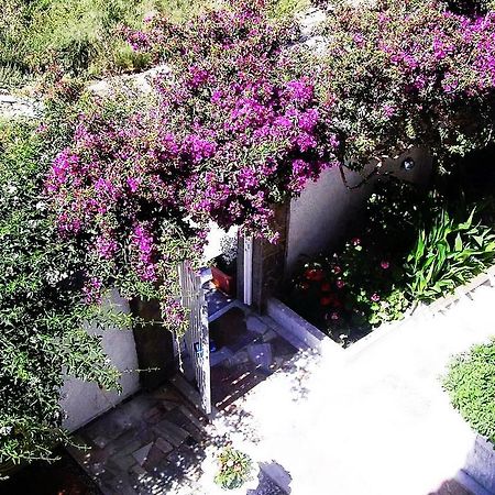 Korissia  Koralli Studios מראה חיצוני תמונה