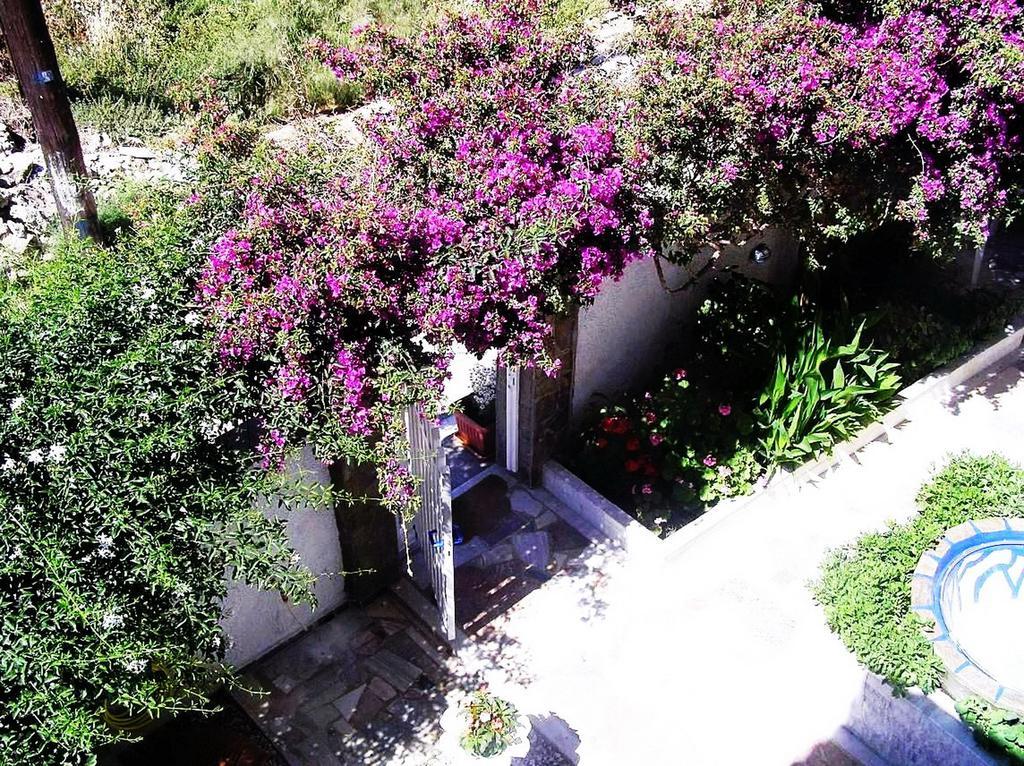 Korissia  Koralli Studios מראה חיצוני תמונה